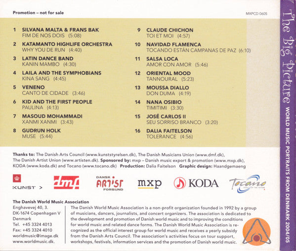 Various : The Big Picture : World Music Portraits From Denmark 2004/05 (CD, Album, Comp, Promo)