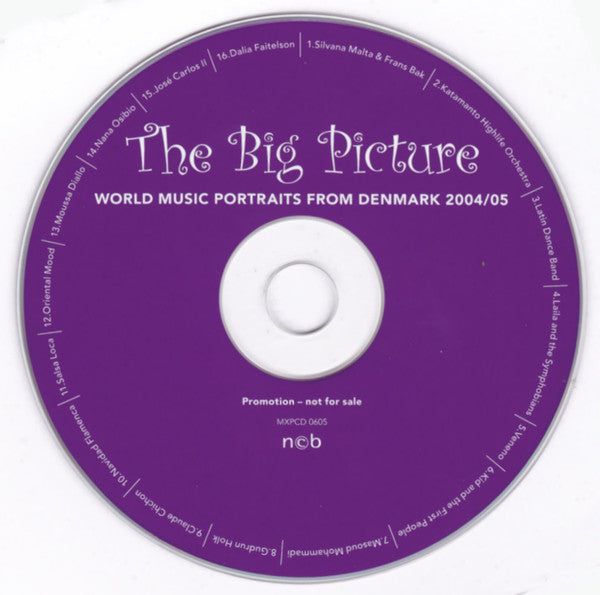 Various : The Big Picture : World Music Portraits From Denmark 2004/05 (CD, Album, Comp, Promo)