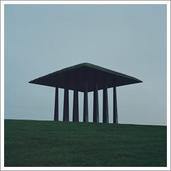 The Homesick : Youth Hunt (LP, Album)