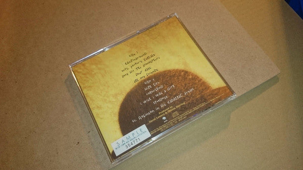 Counting Crows : This Desert Life (CD, Album)