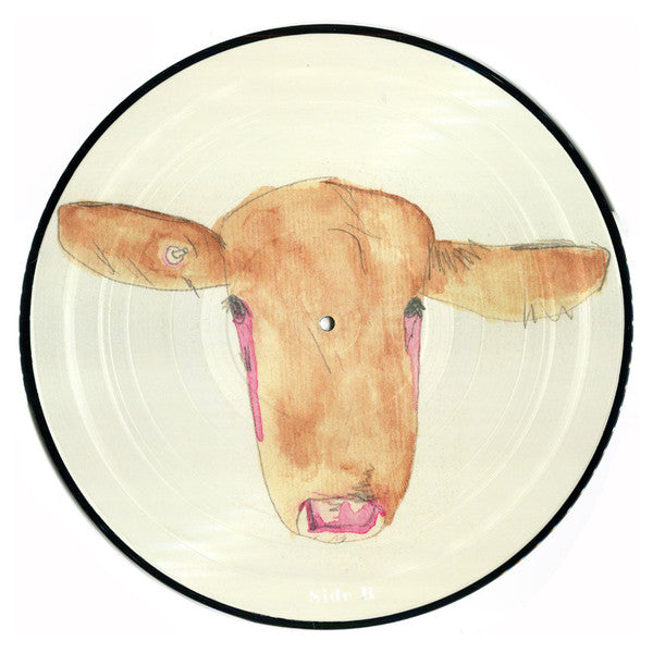 The Hidden Cameras : Ecce Homo (LP, Album, Ltd, Num, Pic)