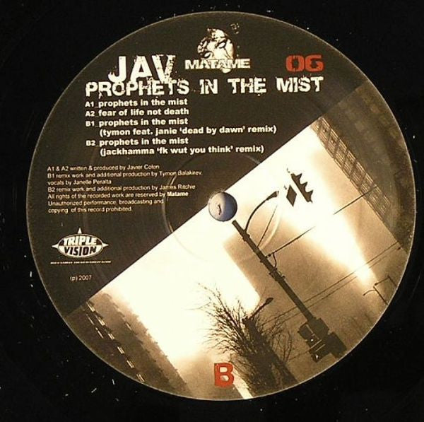 Jav : Prophets In The Mist (12")