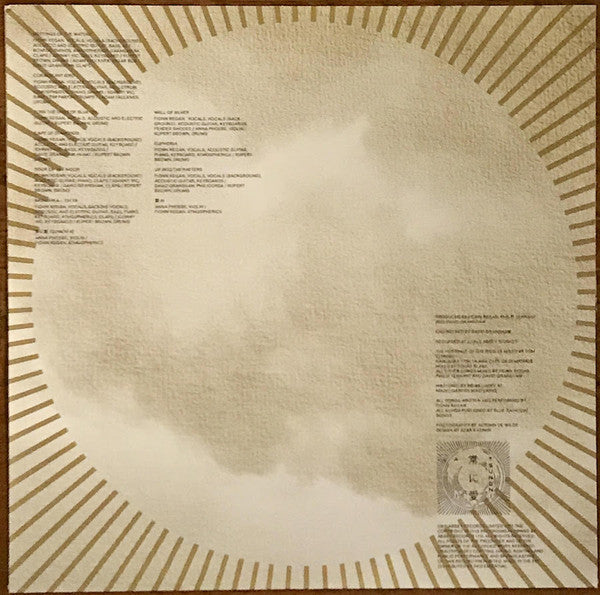 Fionn Regan : The Meetings Of The Waters (LP, Album, Ltd)