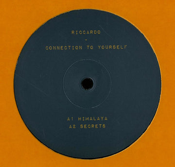 Riccardo (24) : Connection To Yourself (12")
