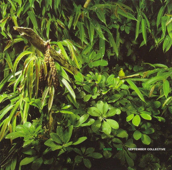 September Collective : All The Birds Were Anarchists (CD, Album)