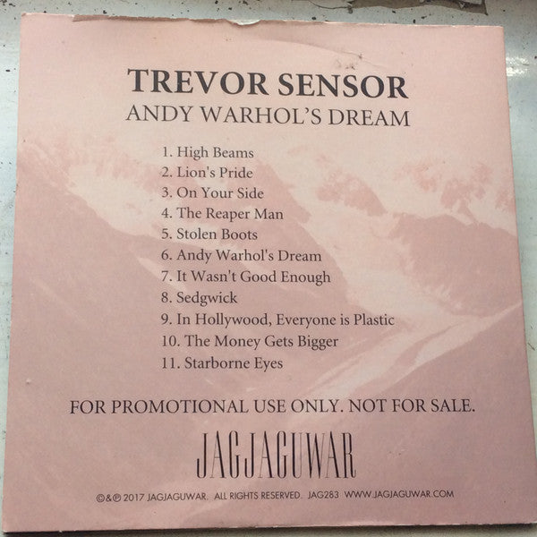 Trevor Sensor : Andy Warhol's Dream (CD, Album, Promo)