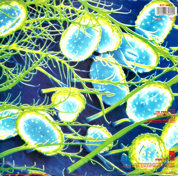 The Soup Dragons : I'm Free (12", Single)