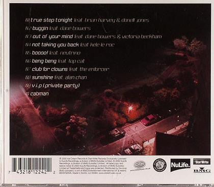 True Steppers : True Stepping (CD, Album)