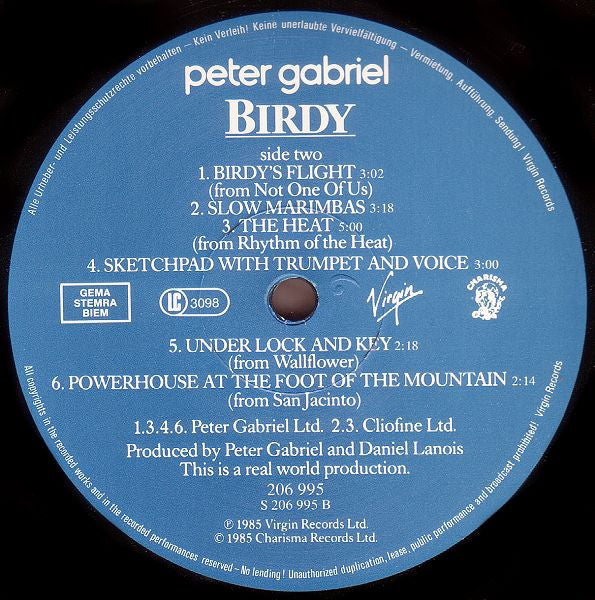 Peter Gabriel : Birdy (Music From The Film By Peter Gabriel) (LP, Album)