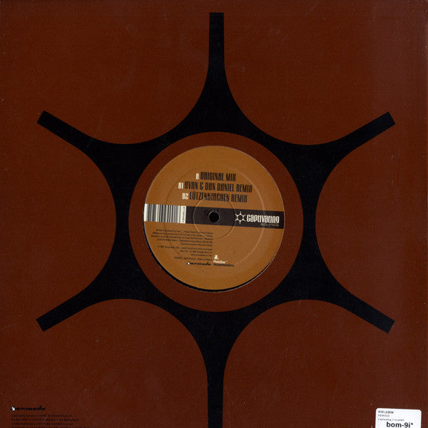 Rob Lemon : Perfect (12")