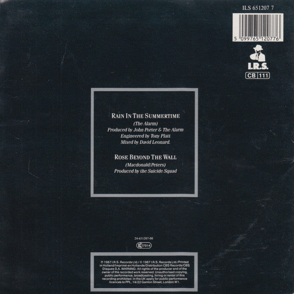 The Alarm : Rain In The Summertime (7", Single)