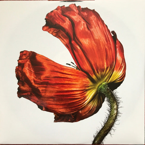 Pet Shop Boys : Release (LP, Album, RE, RM, 180)