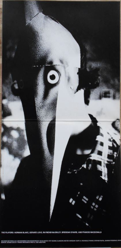 Teenage Fanclub : A Catholic Education (LP, Album, Gat)