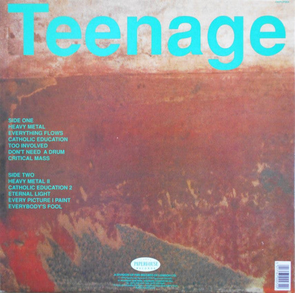 Teenage Fanclub : A Catholic Education (LP, Album, Gat)