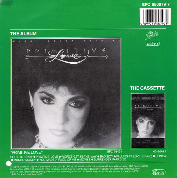 Miami Sound Machine : Words Get In The Way (7", Single)