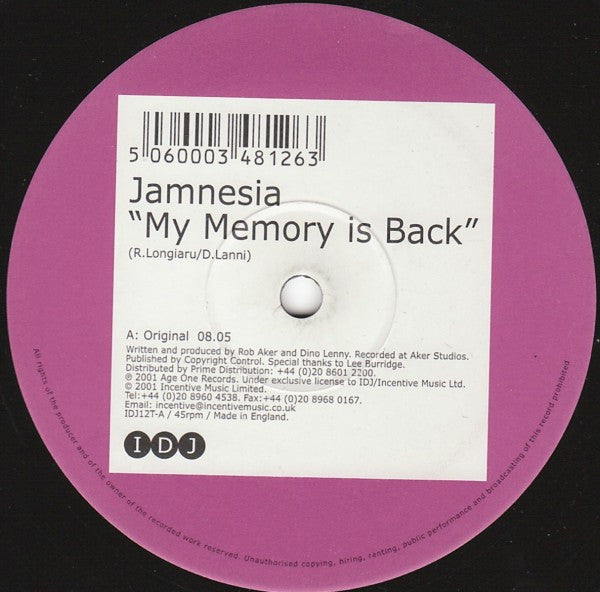 Jamnesia : My Memory Is Back (12")