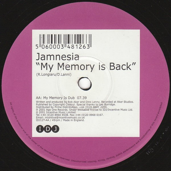 Jamnesia : My Memory Is Back (12")