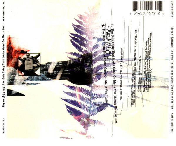 Bryan Adams : The Only Thing That Looks Good On Me Is You (CD, Maxi)