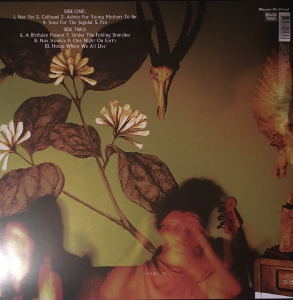 The Veils : Nux Vomica (LP, Album, Ltd, Num, RE, Whi)