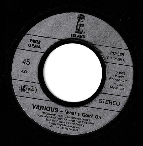 Life Aid Armenia : What's Goin' On (7")