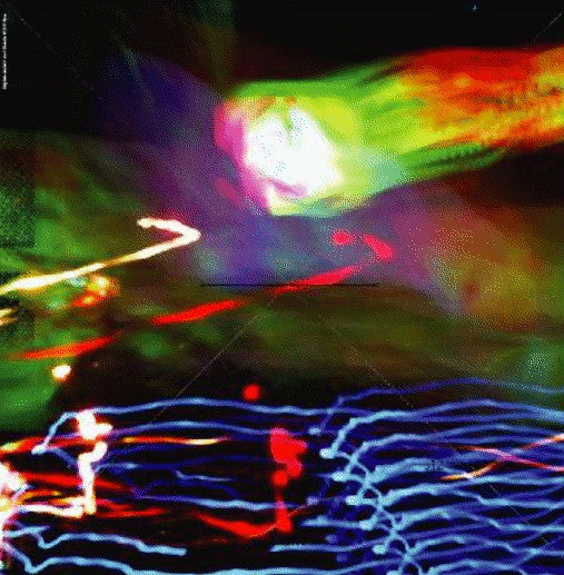 Finsent Van Der Wees & Paul Van Der Wees : Brotherhood EP (12")