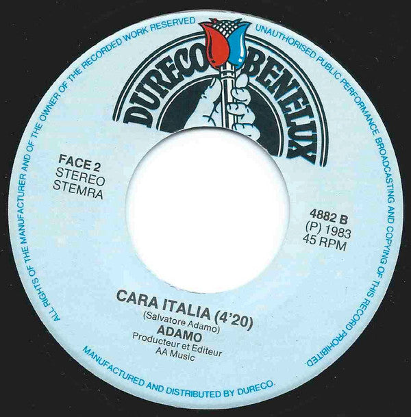 Adamo : Puzzle / Cara Italia (7", Single)