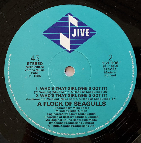 A Flock Of Seagulls : Who's That Girl (She's Got It) (12")