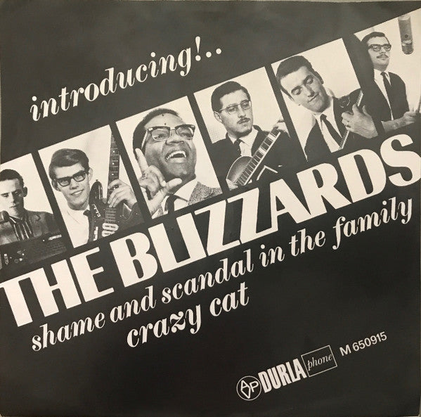 The Blizzards (8) : Shame And Scandal In The Family (7")