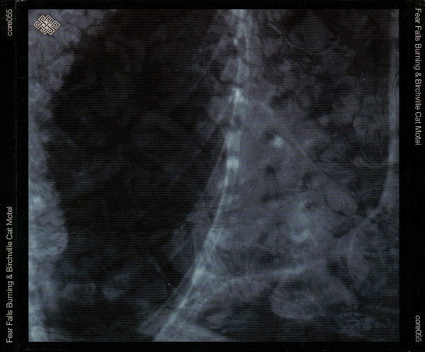 Fear Falls Burning & Birchville Cat Motel : Fear Falls Burning & Birchville Cat Motel (CD, Album)