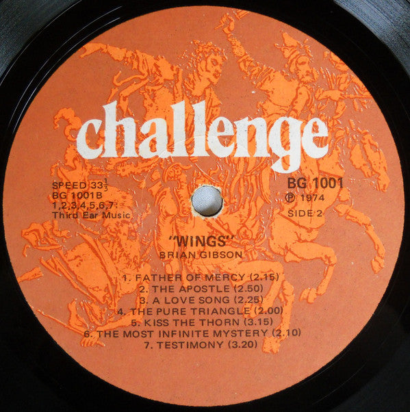 Brian Gibson (13) : Wings (LP, Album)