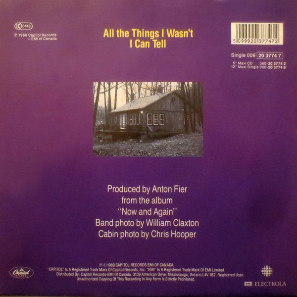 The Grapes Of Wrath : All The Things I Wasn't (7", Single)