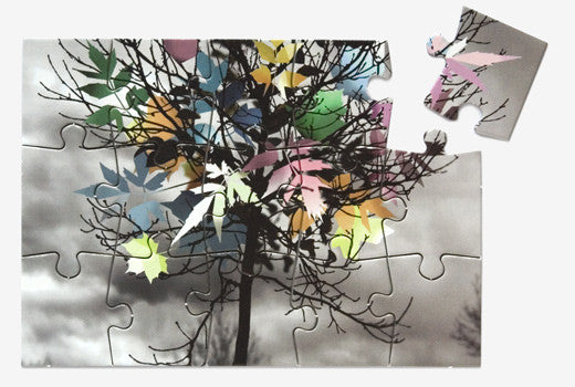 At The Close Of Every Day : Leaves You Puzzled (CD, Album, Ltd)