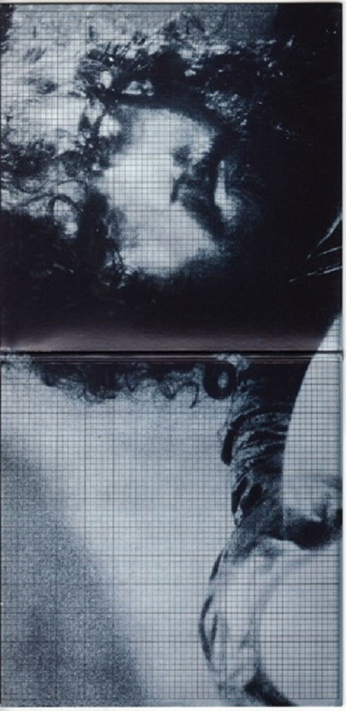 Vangelis = Vangelis : Albedo 0.39 = 反射率０．３９ (CD, Album, Ltd, RE, RM, Gat)