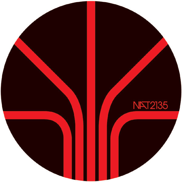 Raiders Of The Lost ARP : Beyond The Dark (12")