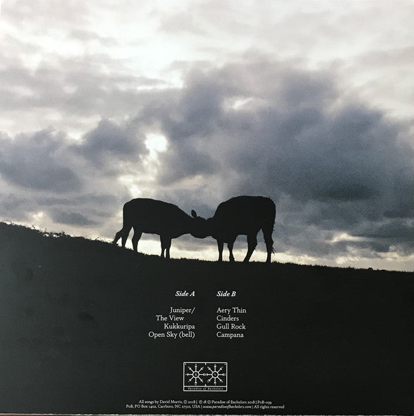 Red River Dialect : Broken Stay Open Sky (LP, Album)