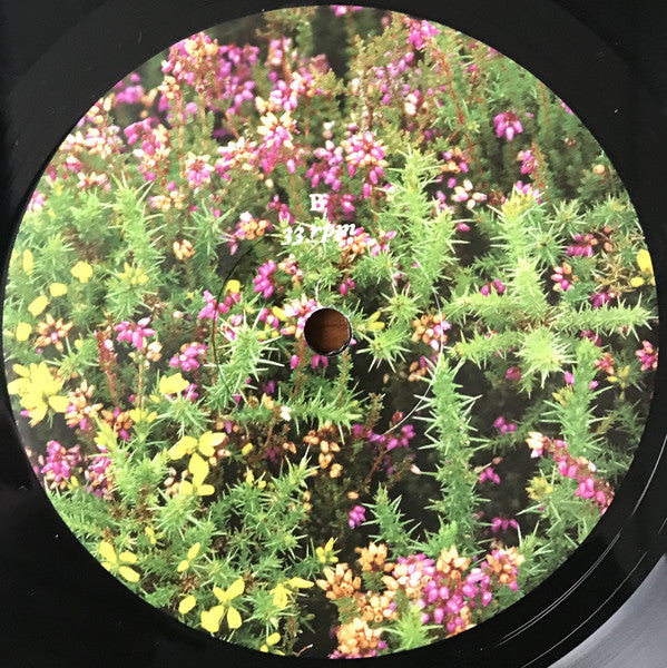 Red River Dialect : Broken Stay Open Sky (LP, Album)