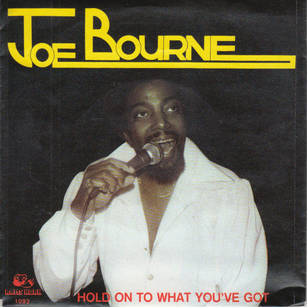 Joe Bourne : Hold On To What You've Got (7", Single)