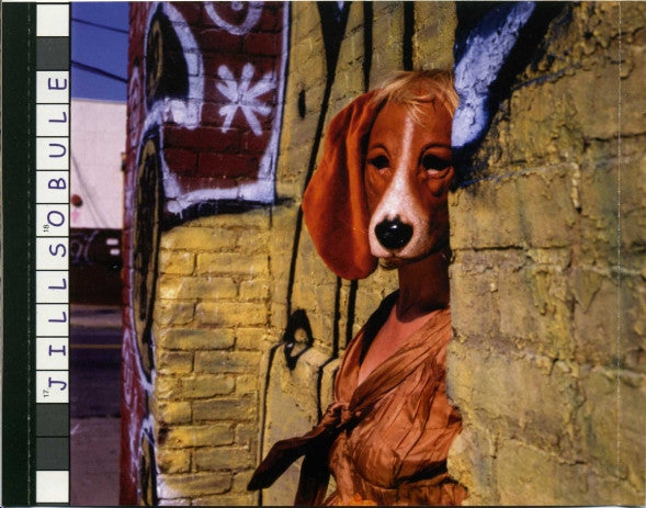 Jill Sobule : Underdog Victorious (CD, Album)