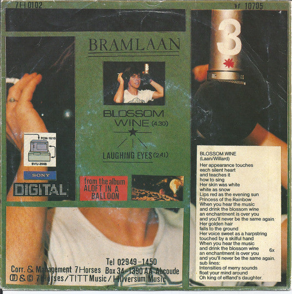 Bram Laan : Blossom Wine (7")