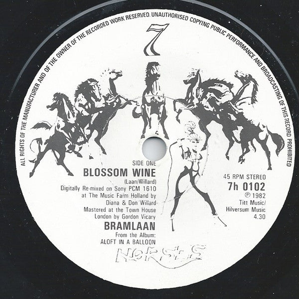 Bram Laan : Blossom Wine (7")