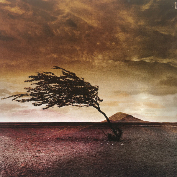 Teofilo Chantre : Viaja (CD, Album)