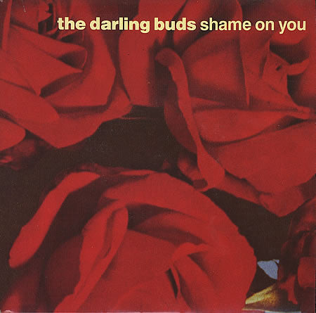 The Darling Buds : Shame On You (12", Single)