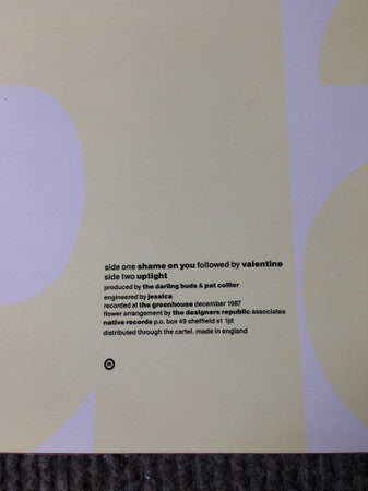 The Darling Buds : Shame On You (12", Single)