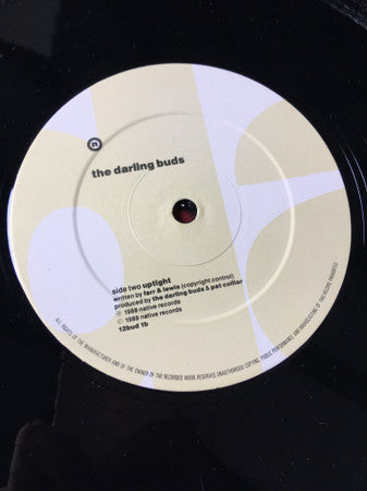 The Darling Buds : Shame On You (12", Single)