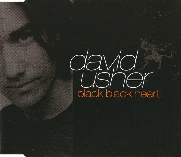 David Usher : Black Black Heart (CD, Maxi)
