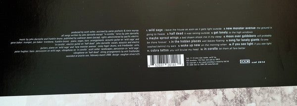 The Mountain Goats : Get Lonely (LP, Album)