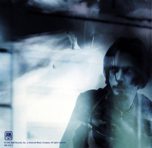 Chris Cornell : Euphoria Morning (CD, Album)