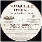Shaquille O'Neal Featuring Peter Gunz : The Way It's Goin' Down (Twism For Life) (12", Promo)