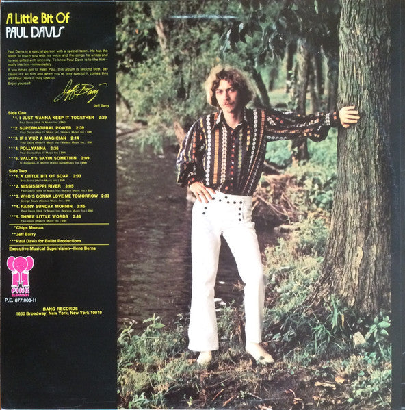 Paul Davis (3) : A Little Bit Of Paul Davis (LP)