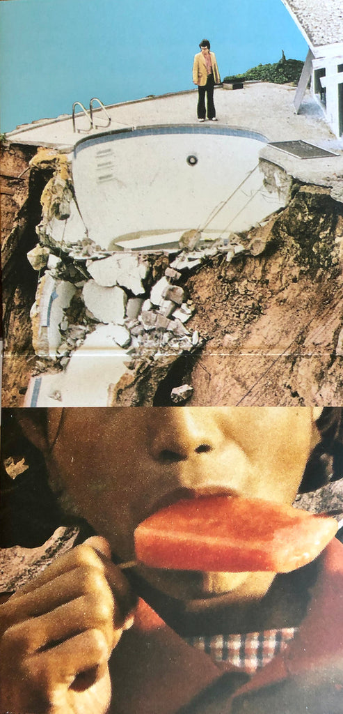 Black Moth Super Rainbow : Panic Blooms (2xLP, Album, Ltd, Gol)